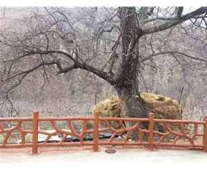 仿樹(shù)根護(hù)欄